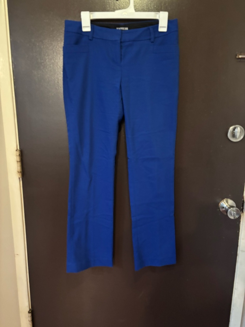 Express Bright Cobalt Blue Boot Cut Dress Pants